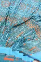 DSCF5458.webp