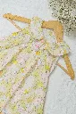 DSCF2303.webp