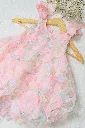 DSCF2334.webp