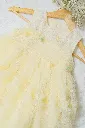 DSCF2357.webp