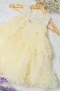 DSCF2353.webp