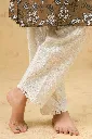 DSCF1619.webp