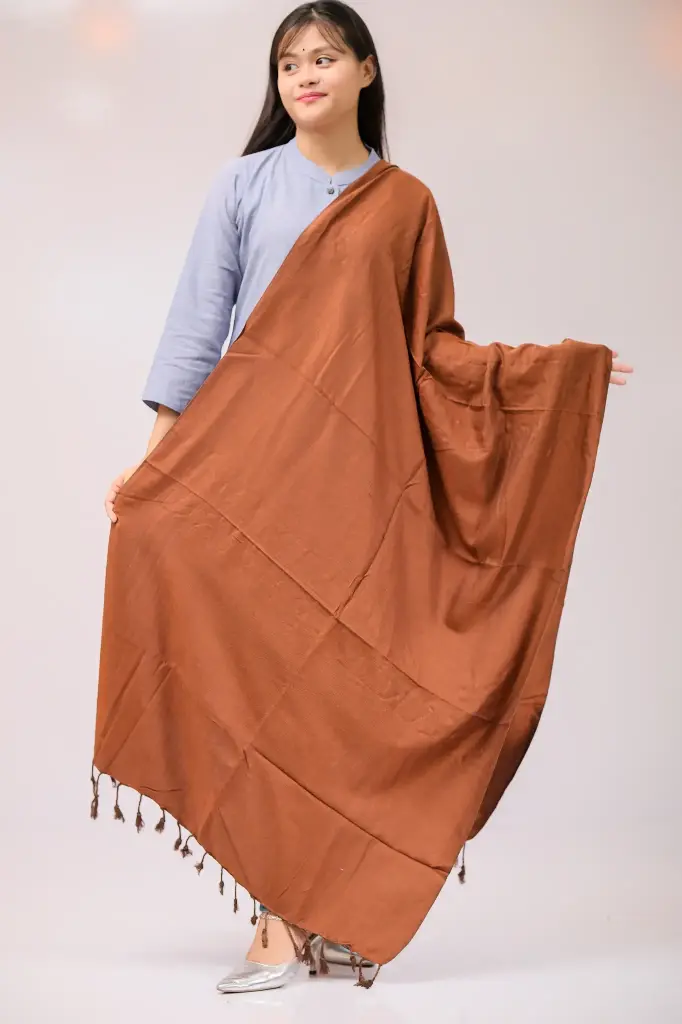 Brown Viscose Shawl