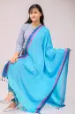 Sky Blue Navy Blue Magenta Border Screen Print Viscose Shawl