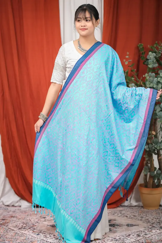 Sky Body Pink Block Print Shawl