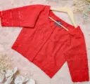Red Sequin Chikankari Blouse