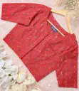 Red Green Blue Ikkat Cotton Blouse 