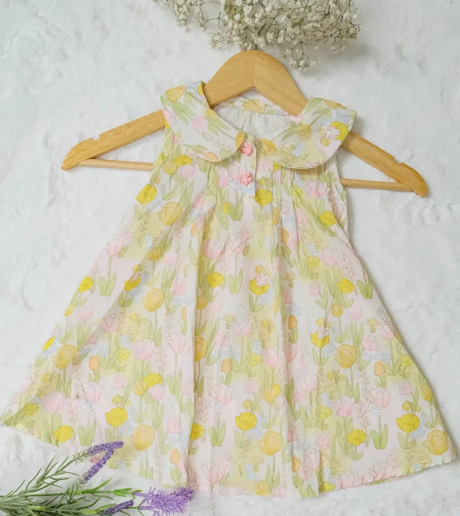 [AG] Off-White Spring-Inspired Floral Peter Pan Collar Imported Frock