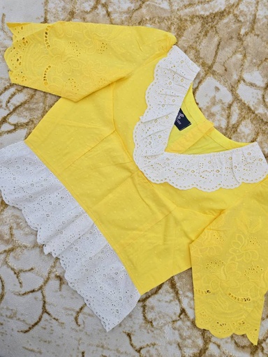 [0209] Chikankari Blouse 0002