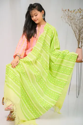 [1001] Shawl Screen Print 0030