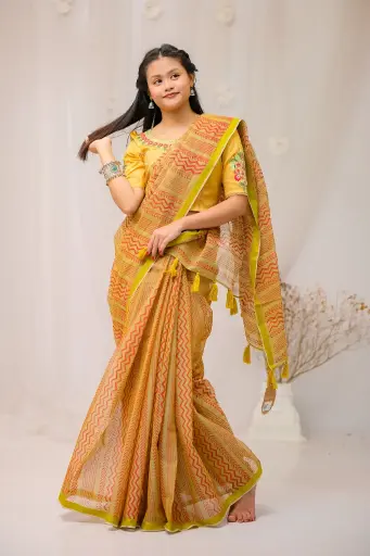 Golden Neck Sleeve Embroidery Tashar Blouse 0013