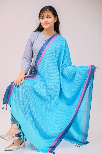 [1001] Sky Blue Navy Blue Magenta Border Screen Print Viscose Shawl