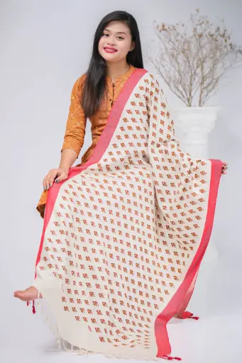 [1001] Off White Red Border Brown Design Screen Print Shawl