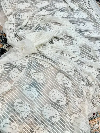 [0703] Off-White Pure Georgette Chickenkari Orna